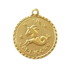 Capricorn Zodiac Charm