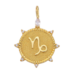 Capricorn CZ Gold Charm